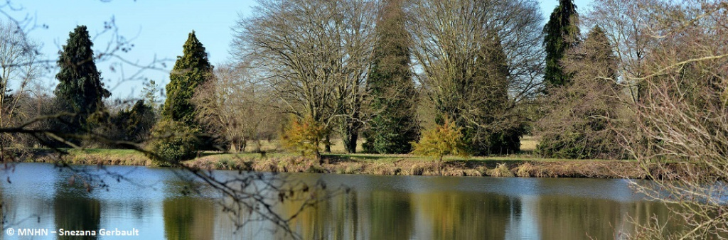 Tentez votre chance de remporter des places pour visiter l'Arboretum de Versailles-Chèvreloup !